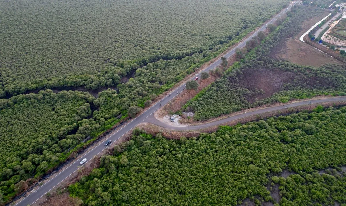 VRSIPL Wins Major Highway Contract Worth Rs 450 Crore